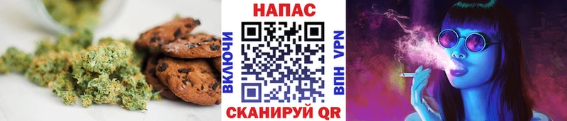 купить   Липки  MEGA маркетплейс  Canna-Cookies конопля 