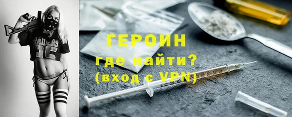 мдпв Гусев